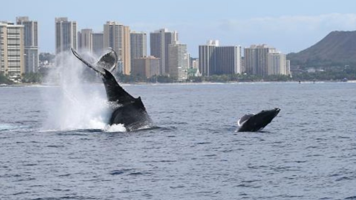 a small boat in a body of water with a city in the background