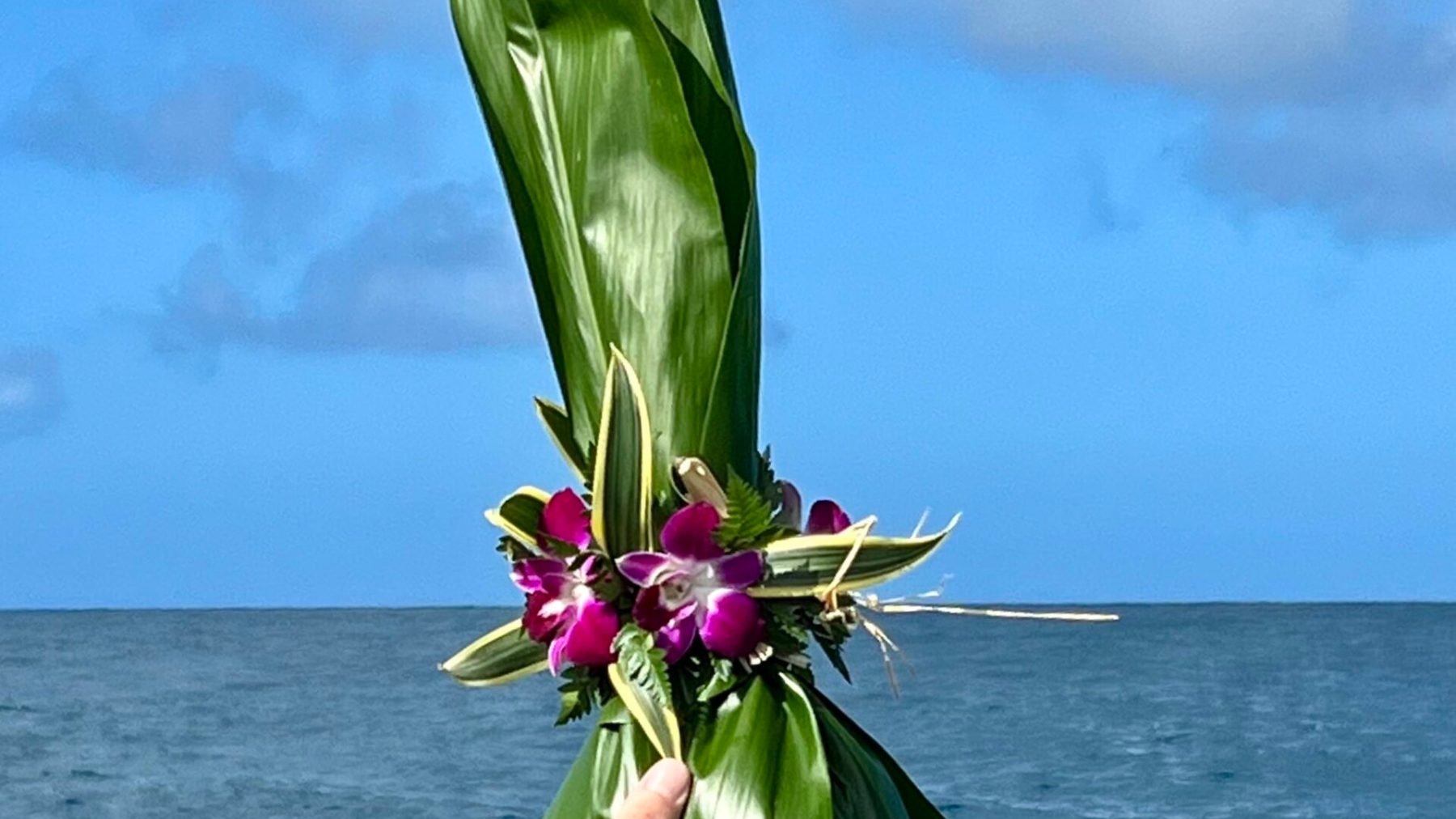 a woman standing next to a body of water
