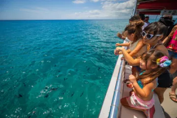 a girl in a pool of water