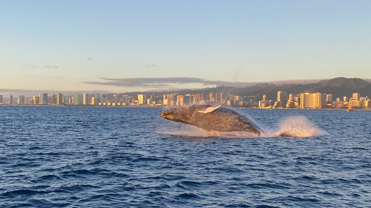a large body of water